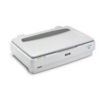 B11B257201 Epson Expression 1300XL Flatbed Desktop Document Scanner