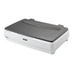 B12B819221 Epson Expression 12000 A3 Transparency Unit Scanner Accessory
